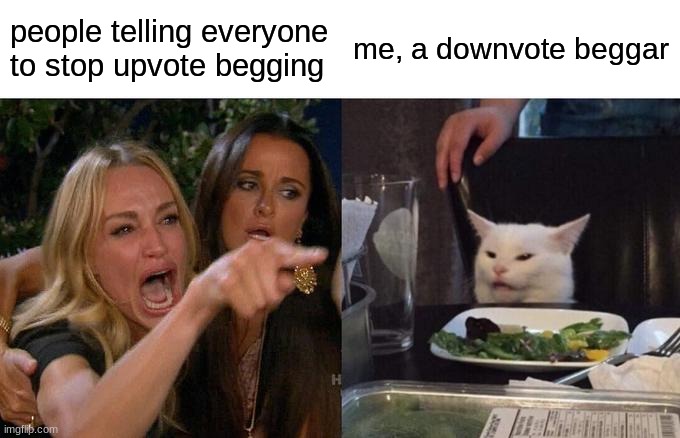 there, im a downvote beggar | people telling everyone to stop upvote begging; me, a downvote beggar | image tagged in memes,woman yelling at cat | made w/ Imgflip meme maker