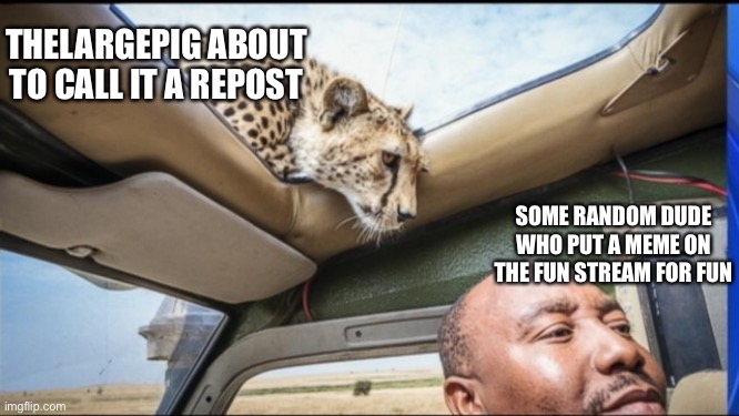 As Professor Blaziken might say, I “ruin fun” | THELARGEPIG ABOUT TO CALL IT A REPOST; SOME RANDOM DUDE WHO PUT A MEME ON THE FUN STREAM FOR FUN | image tagged in cheetah sunroof,funny,memes | made w/ Imgflip meme maker