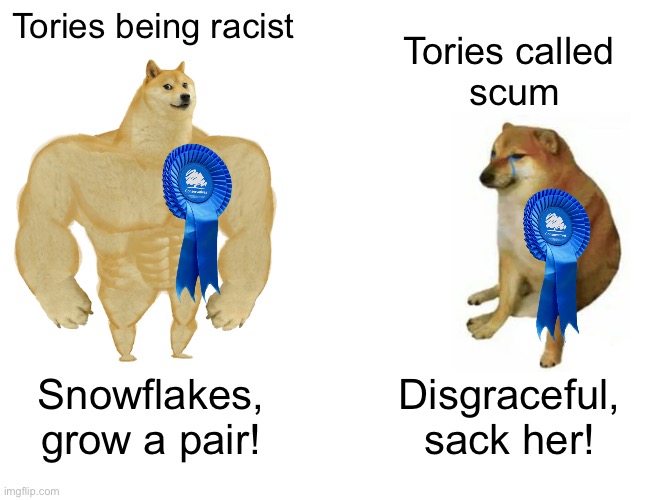 Sauce for the goose but not the gander | Tories being racist; Tories called 
scum; Snowflakes,
grow a pair! Disgraceful, sack her! | image tagged in conservatives,uk,political,satire,scumbag | made w/ Imgflip meme maker