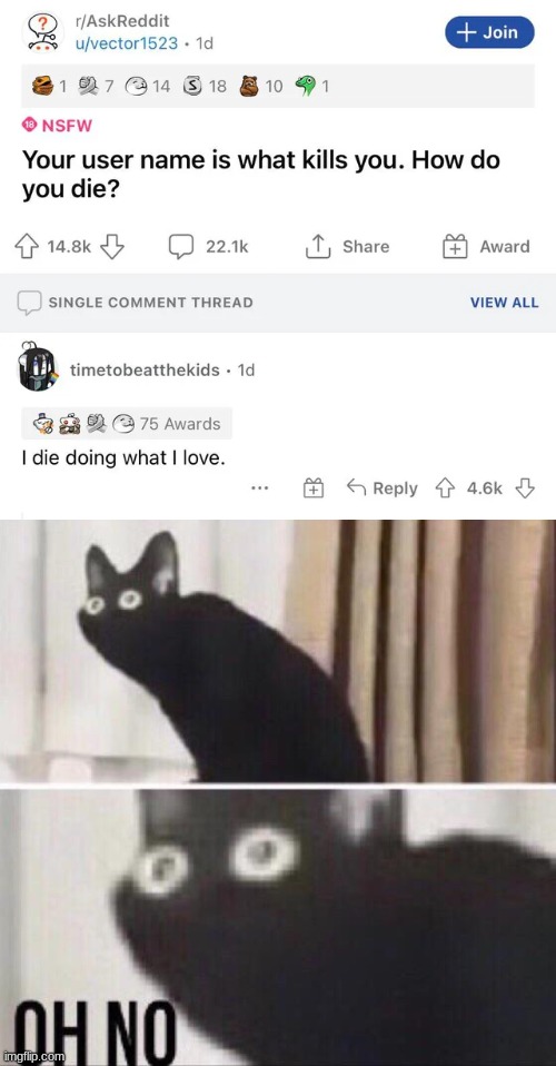 cursed_username | image tagged in oh no cat | made w/ Imgflip meme maker