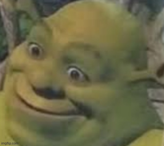Hole up shrek | image tagged in hole up shrek | made w/ Imgflip meme maker