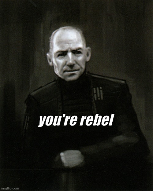 The consiel | you're rebel | image tagged in the consiel | made w/ Imgflip meme maker