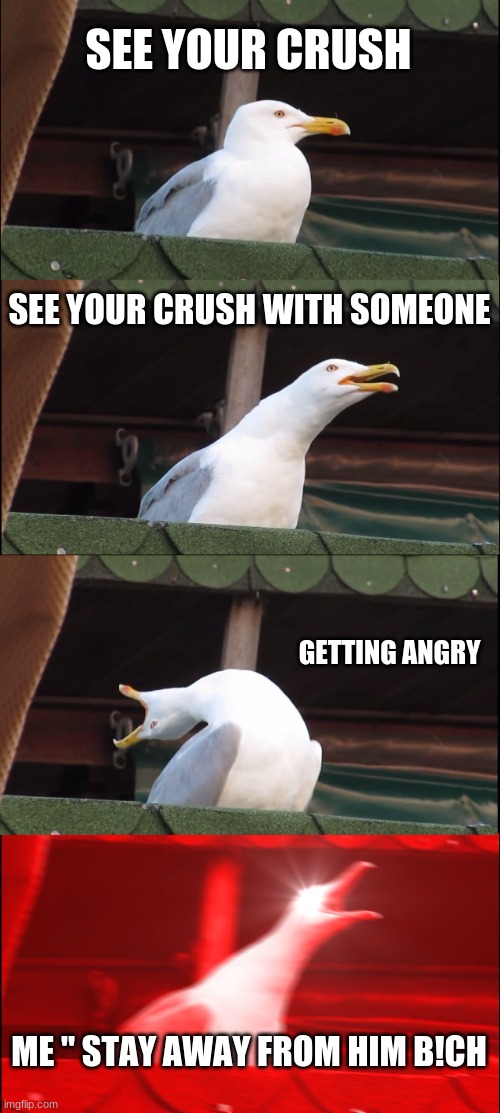 Inhaling Seagull Meme | SEE YOUR CRUSH; SEE YOUR CRUSH WITH SOMEONE; GETTING ANGRY; ME " STAY AWAY FROM HIM B!CH | image tagged in memes,inhaling seagull | made w/ Imgflip meme maker