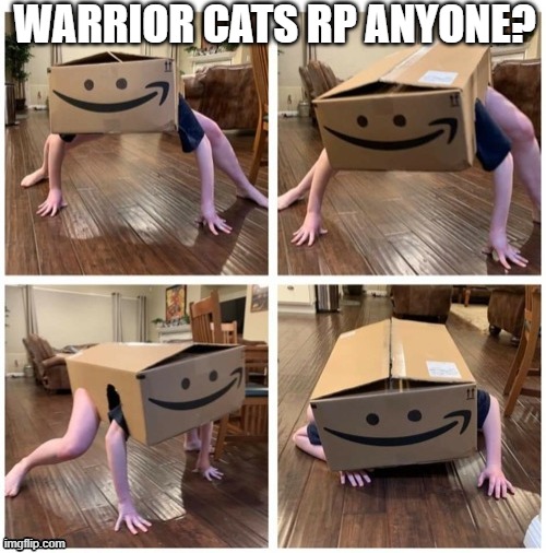 box | WARRIOR CATS RP ANYONE? | made w/ Imgflip meme maker