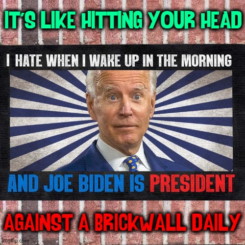 Just woke up: time to run up against a brick wall headfirst | IT'S LIKE HITTING YOUR HEAD AGAINST A BRICKWALL DAILY | image tagged in vince vance,memes,brick wall,creepy uncle joe,sniffing,president | made w/ Imgflip meme maker