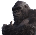 Kong Thumbs Up Meme Template