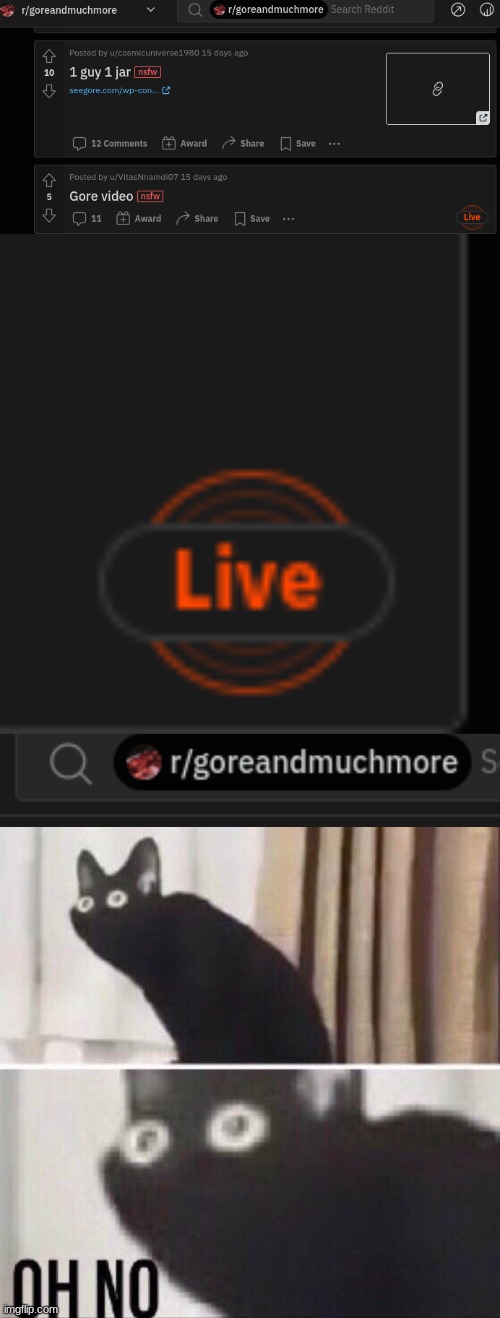 SNSCBSBUYCSUBASHUICSHBSXUIBCSBUISU | image tagged in oh no cat | made w/ Imgflip meme maker