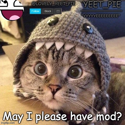 Yeet_Pie | May I please have mod? | image tagged in yeet_pie | made w/ Imgflip meme maker