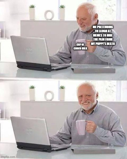 Hide the Pain Harold | ME PRETENDING TO LAUGH AT MEMES TO HIDE THE PAIN FROM MY PUPPY'S DEATH; CUP OF CHOCO MILK | image tagged in memes,hide the pain harold | made w/ Imgflip meme maker