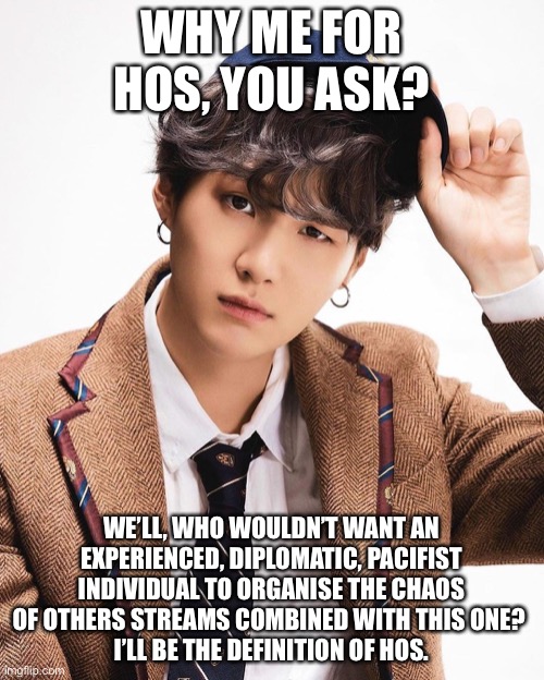 So yeah, and vote Nerd for clear skin | WHY ME FOR HOS, YOU ASK? WE’LL, WHO WOULDN’T WANT AN EXPERIENCED, DIPLOMATIC, PACIFIST INDIVIDUAL TO ORGANISE THE CHAOS OF OTHERS STREAMS COMBINED WITH THIS ONE? 
I’LL BE THE DEFINITION OF HOS. | made w/ Imgflip meme maker