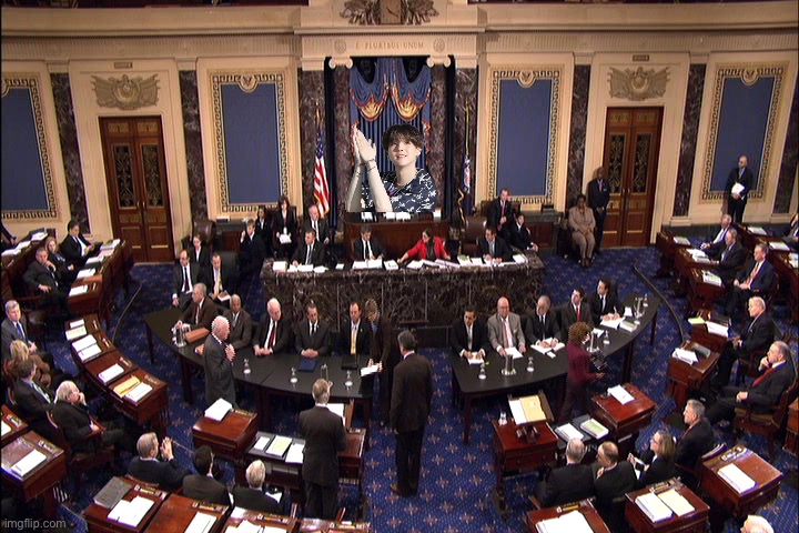 Senate floor | image tagged in senate floor | made w/ Imgflip meme maker