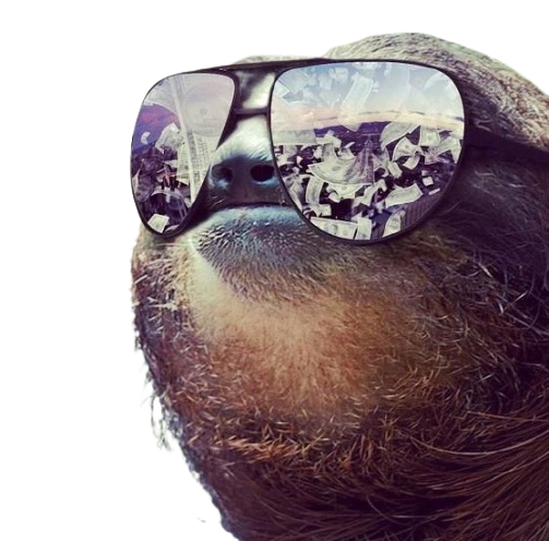 Sloth sunglasses transparent Blank Meme Template