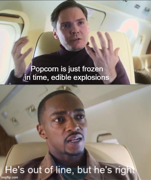 He's out of line but he's right | Popcorn is just frozen in time, edible explosions | image tagged in he's out of line but he's right | made w/ Imgflip meme maker