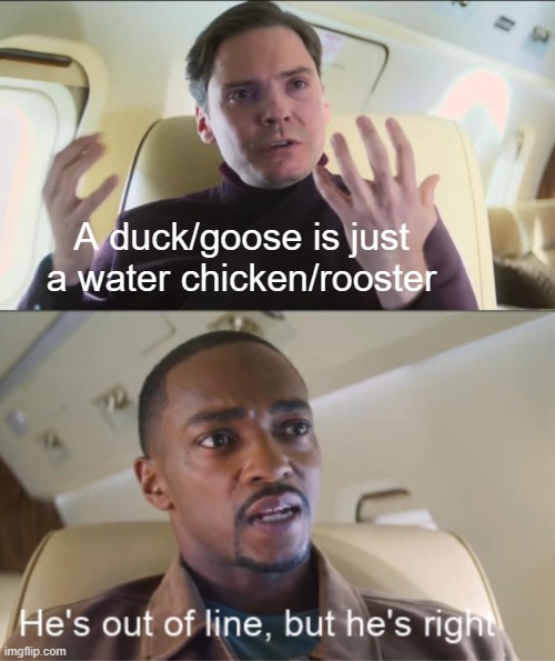He's out of line but he's right | A duck/goose is just a water chicken/rooster | image tagged in he's out of line but he's right | made w/ Imgflip meme maker