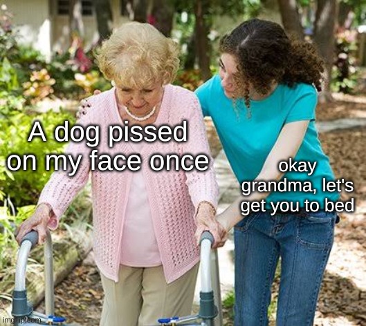 Sure grandma let's get you to bed | A dog pissed on my face once; okay grandma, let's get you to bed | image tagged in sure grandma let's get you to bed | made w/ Imgflip meme maker