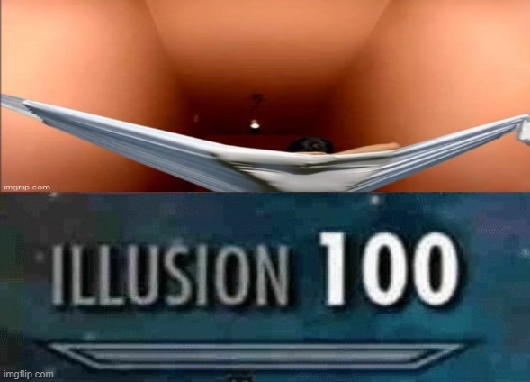 illusion 100 | image tagged in illusion 100 | made w/ Imgflip meme maker