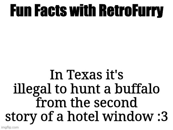 Random crap, activate!! | In Texas it's illegal to hunt a buffalo from the second story of a hotel window :3 | image tagged in fun facts with retrofurry | made w/ Imgflip meme maker
