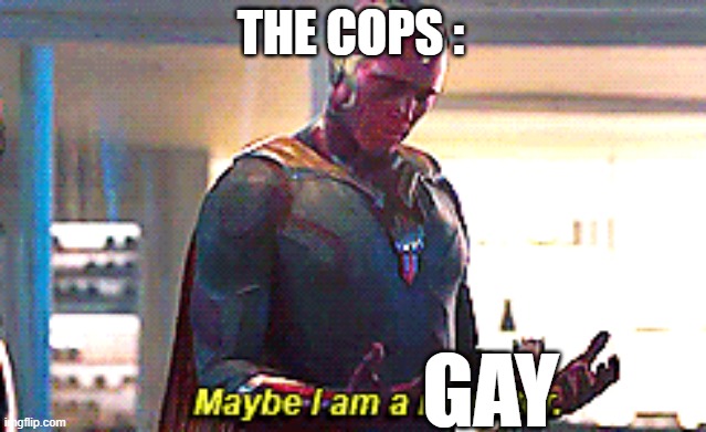 Maybe I am a monster | THE COPS : GAY | image tagged in maybe i am a monster | made w/ Imgflip meme maker