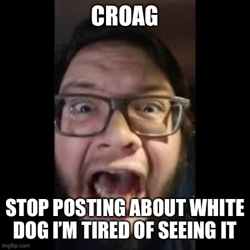 A guy sent us a letter | CROAG; STOP POSTING ABOUT WHITE DOG I’M TIRED OF SEEING IT | image tagged in stop posting about among us | made w/ Imgflip meme maker