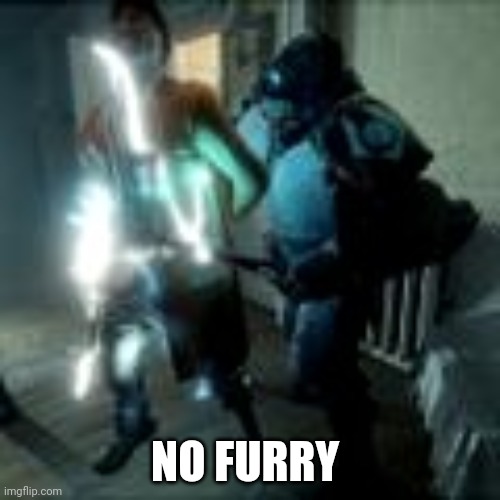 no you | NO FURRY | image tagged in no you | made w/ Imgflip meme maker