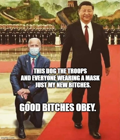 China Biden | THIS DOG THE TROOPS AND EVERYONE WEARING A MASK       JUST MY NEW BITCHES. GOOD BITCHES OBEY. | image tagged in china biden | made w/ Imgflip meme maker
