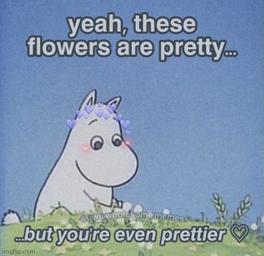Yall cute ✨ | made w/ Imgflip meme maker