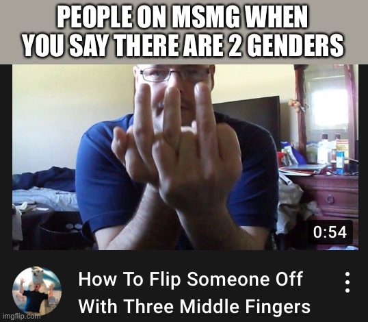 Don’t attack me | PEOPLE ON MSMG WHEN YOU SAY THERE ARE 2 GENDERS | made w/ Imgflip meme maker