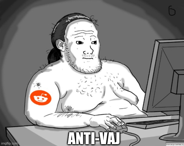 Average Redditor | ANTI-VAJ | image tagged in average redditor | made w/ Imgflip meme maker