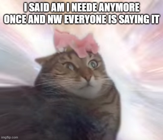 the prophecy was true cat | I SAID AM I NEEDE ANYMORE ONCE AND NW EVERYONE IS SAYING IT | image tagged in the prophecy was true cat | made w/ Imgflip meme maker