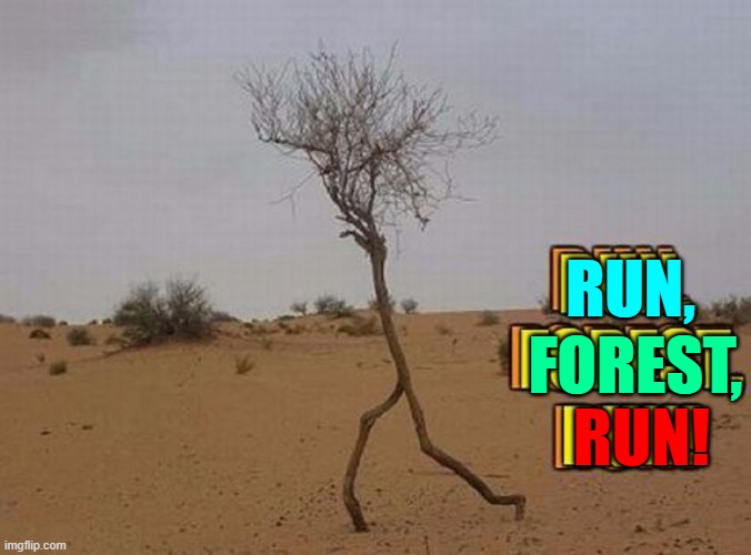 New Meaning to Tumbling Tumbleweed |  RUN, FOREST, RUN! | image tagged in vince vance,forrest gump,run forrest run,memes,forest gump,tree hugger | made w/ Imgflip meme maker