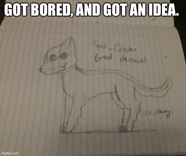 Why not | GOT BORED, AND GOT AN IDEA. | image tagged in drawing | made w/ Imgflip meme maker