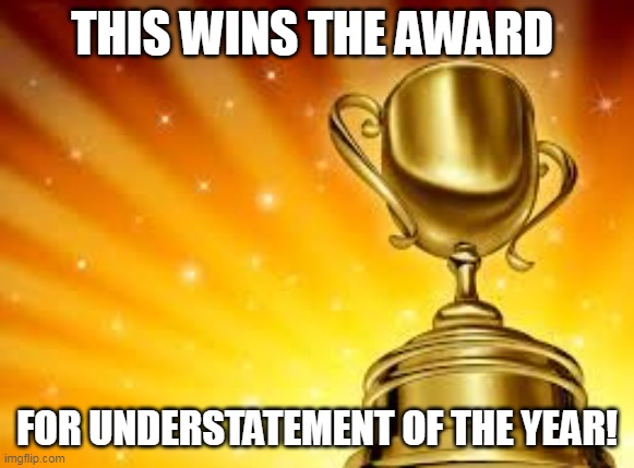 Award | THIS WINS THE AWARD FOR UNDERSTATEMENT OF THE YEAR! | image tagged in award | made w/ Imgflip meme maker
