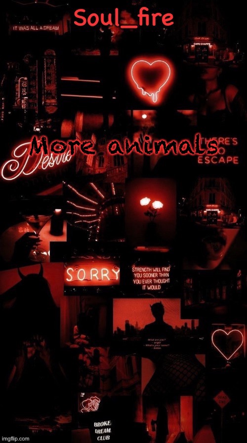 Time to become every animal in existence | More animals | image tagged in soul_fires black red announcement temp ty bean | made w/ Imgflip meme maker