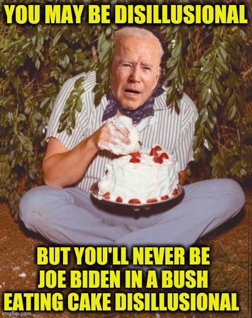 YOU MAY BE DISILLUSIONAL BUT YOU'LL NEVER BE JOE BIDEN IN A BUSH EATING CAKE DISILLUSIONAL | made w/ Imgflip meme maker