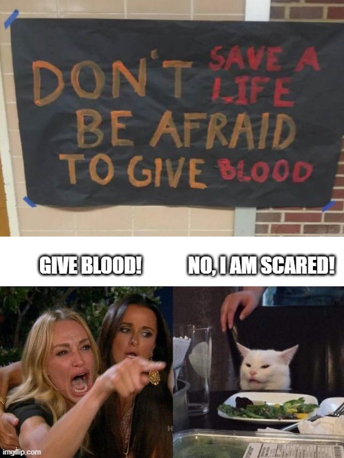 Format is Fundamental | NO, I AM SCARED! GIVE BLOOD! | image tagged in memes,woman yelling at cat | made w/ Imgflip meme maker