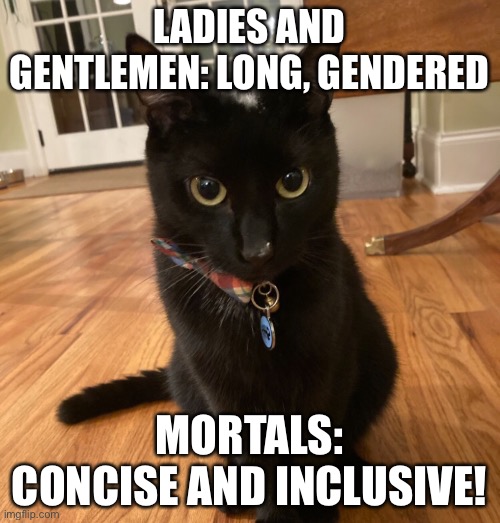 Inclusivity is important | LADIES AND GENTLEMEN: LONG, GENDERED; MORTALS: CONCISE AND INCLUSIVE! | image tagged in cat,gay,pride,you dare oppose me mortal | made w/ Imgflip meme maker