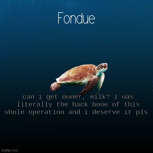 pls |  can i get owner, milk? i was literally the back bone of this whole operation and i deserve it pls | image tagged in turtle template-fondue | made w/ Imgflip meme maker