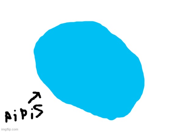 pipis | image tagged in blank white template | made w/ Imgflip meme maker