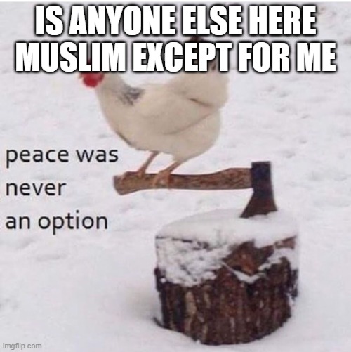 death | IS ANYONE ELSE HERE MUSLIM EXCEPT FOR ME | image tagged in death | made w/ Imgflip meme maker