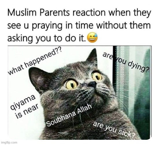 if your not muslim you wont understand | made w/ Imgflip meme maker