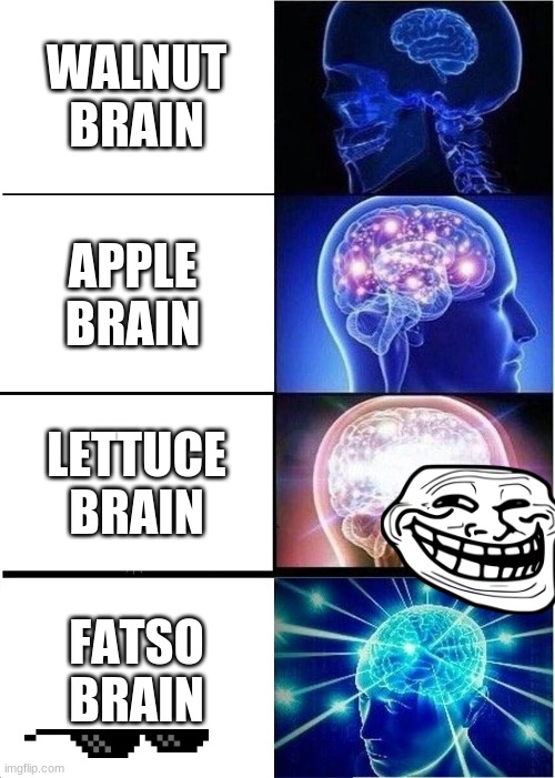 Fatso | WALNUT BRAIN; APPLE BRAIN; LETTUCE BRAIN; FATSO BRAIN | image tagged in memes,expanding brain | made w/ Imgflip meme maker