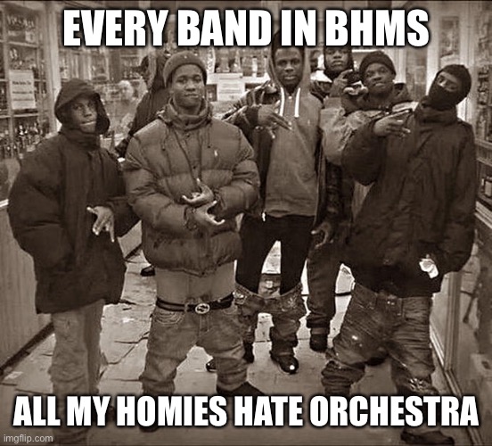 Band |  EVERY BAND IN BHMS; ALL MY HOMIES HATE ORCHESTRA | image tagged in all my homies hate | made w/ Imgflip meme maker