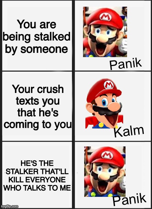 quo quiz desc be like | You are being stalked by someone; Your crush texts you that he's coming to you; HE'S THE STALKER THAT'LL KILL EVERYONE WHO TALKS TO ME | image tagged in mario smg4 panik kalm panik | made w/ Imgflip meme maker