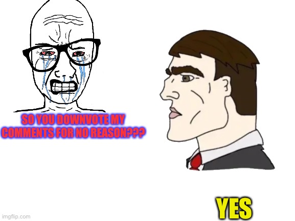 Blank White Template | SO YOU DOWNVOTE MY COMMENTS FOR NO REASON??? YES | image tagged in blank white template | made w/ Imgflip meme maker