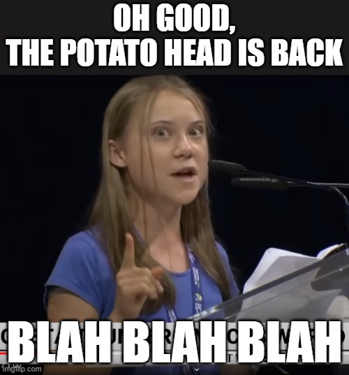 Greta Potato Head | OH GOOD,
THE POTATO HEAD IS BACK; BLAH BLAH BLAH | image tagged in greta potato head | made w/ Imgflip meme maker