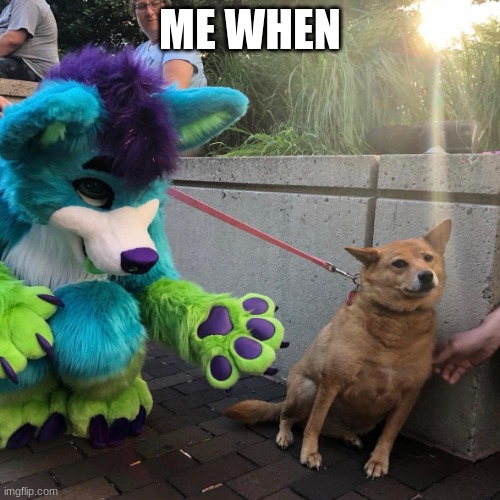 Dog afraid of furry | ME WHEN | image tagged in dog afraid of furry | made w/ Imgflip meme maker