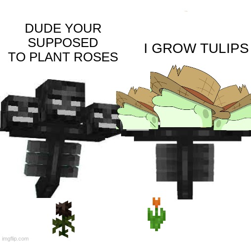 wither...TULIPS!?! | DUDE YOUR SUPPOSED TO PLANT ROSES; I GROW TULIPS | image tagged in chuck,minecraft,tulips,wither | made w/ Imgflip meme maker