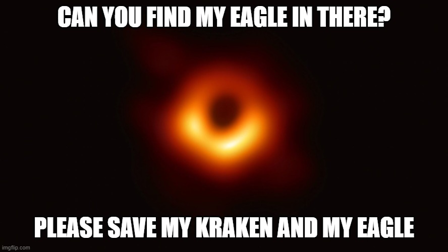 rest in piece my pets | CAN YOU FIND MY EAGLE IN THERE? PLEASE SAVE MY KRAKEN AND MY EAGLE | image tagged in black hole first pic | made w/ Imgflip meme maker