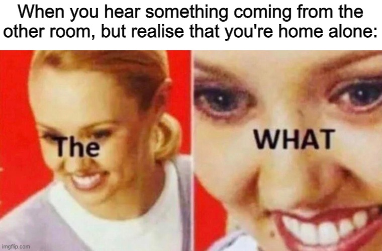 Some home alone meme, idk | When you hear something coming from the other room, but realise that you're home alone: | image tagged in memes | made w/ Imgflip meme maker