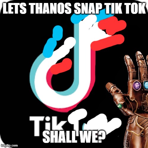*snap* follow if this will come into reality | LETS THANOS SNAP TIK TOK; SHALL WE? | image tagged in tik tok | made w/ Imgflip meme maker